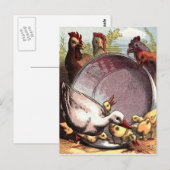 Carte Postale Canettes et poules (Devant / Derrière)