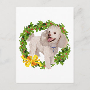 Carte Postale Caniche