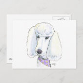 Carte Postale Caniche (Devant / Derrière)