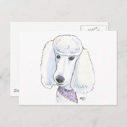 Carte Postale Caniche (Devant / Derrière)