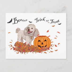Carte Postale Caniche à Halloween