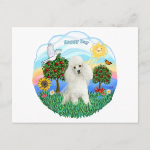 Carte Postale Caniche (blanc #14)