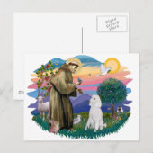 Carte Postale Caniche (Blanc Standard) (Devant / Derrière)