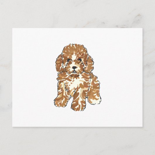 Carte Postale Caniche jouet (Devant)