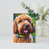 Carte Postale Caniche marron adorable  (Debout devant)