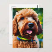 Carte Postale Caniche marron adorable  (Devant / Derrière)