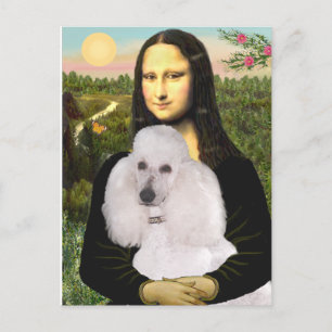 Carte Postale Caniche Mona-Pood-Blanc-Standard