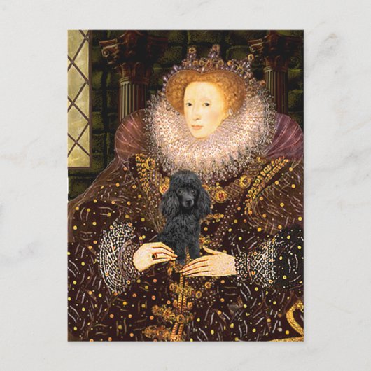 Carte Postale Caniche (noir 1) - Reine (Devant)
