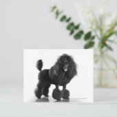 Carte Postale Caniche noire découpée (Debout devant)