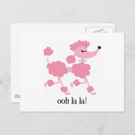 Carte Postale caniche rose (Devant / Derrière)