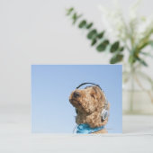 Carte Postale Caniche standard (Debout devant)