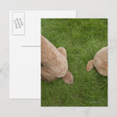 Carte Postale caniche standard (Devant / Derrière)