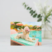 Carte Postale Caniche sur chaise longue (Debout devant)