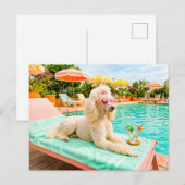 Carte Postale Caniche sur chaise longue (Devant / Derrière)