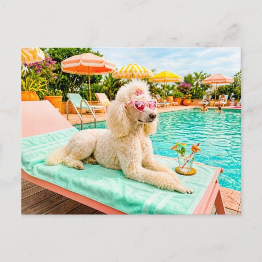 Carte Postale Caniche sur chaise longue (Devant)