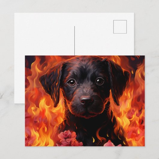 Carte Postale Canine Ardente" (Devant / Derrière)