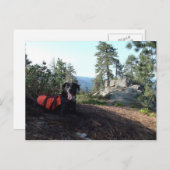 Carte Postale Canines de conservation de Haley de chien (Devant / Derrière)