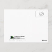 Carte Postale Canines de détente de conservation de Scooby de (Dos)