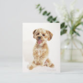 Carte Postale Canis familiaris (Debout devant)