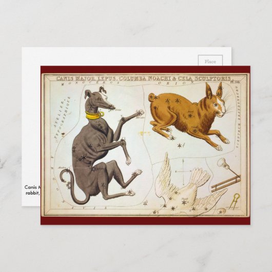 Carte Postale Canis Major, Lepus, Columba Noachi & Cela Sculptor (Devant / Derrière)