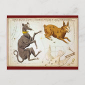 Carte Postale Canis Major, Lepus, Columba Noachi & Cela Sculptor (Devant)