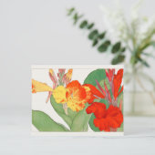 Carte Postale Canna par Tanigami Konan (Debout devant)