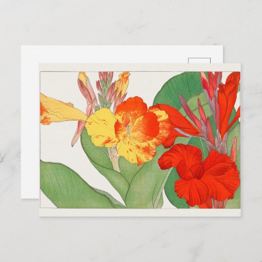 Carte Postale Canna par Tanigami Konan (Devant / Derrière)