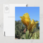 Carte Postale Canne no 2 (Devant / Derrière)