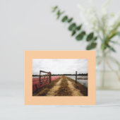 Carte Postale canneberge (Debout devant)