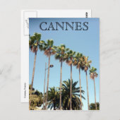 Carte Postale cannes palmiers (Devant / Derrière)