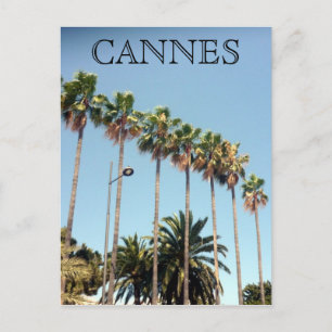 Carte Postale cannes palmiers