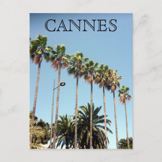 Carte Postale cannes palmiers (Devant)