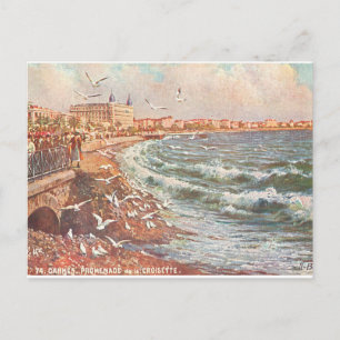 Carte Postale Cannes vintage France