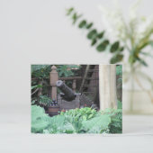 Carte postale Cannon (Debout devant)