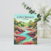Carte Postale Caño Cristales Colombie (Debout devant)