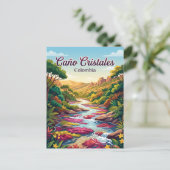 Carte Postale Caño Cristales Colombie (Debout devant)