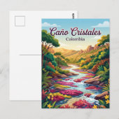 Carte Postale Caño Cristales Colombie (Devant / Derrière)