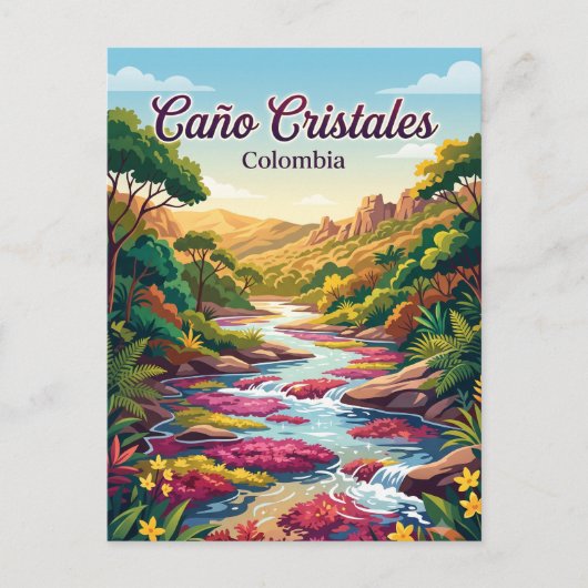Carte Postale Caño Cristales Colombie (Devant)