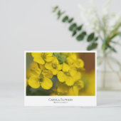 Carte Postale Canola Flowers (Debout devant)
