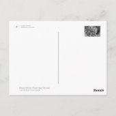 Carte Postale Canola Flowers (Dos)