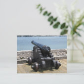 Carte Postale Canon sur le mur du château (Debout devant)