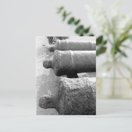 Carte Postale Canons (Debout devant)