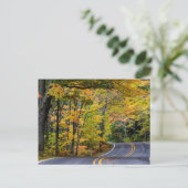 Carte Postale Canopée automnale de couleur le long de la route 4 (Debout devant)