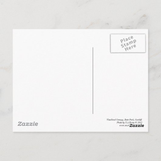 Carte Postale Canopée de bois 02 BW (Dos)