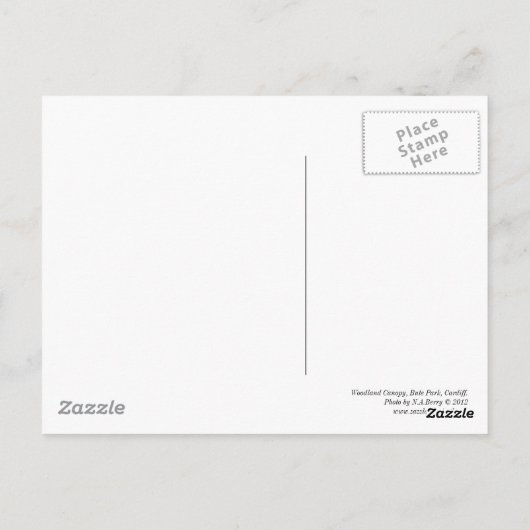 Carte Postale Canopée de bois 02 BW (Dos)