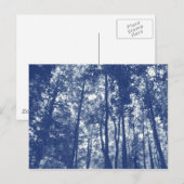 Carte Postale Canopée de bois - Effet Cyanotype (Devant / Derrière)