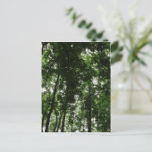 Carte Postale Canopée des bois 01 (Debout devant)