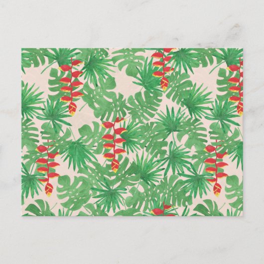 Carte Postale Canopée tropicale (Devant)