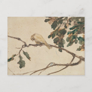 Carte Postale Canotage sur une branche d'arbre de chêne