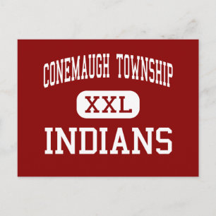 Carte Postale Canton de Conemaugh - Indiens - Zone - Davidsville